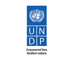 undp